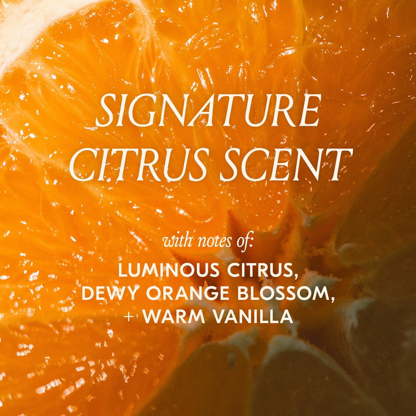 DAE Cactus Fruit 3-In-1 Styling Cream - Smooth Styles, Prep Shiny Blowouts, Defines Curls (5 oz.)